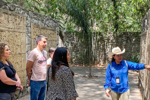 Mexico City: Chapultepec Castle and Anthropology Museum Tour Private Tour