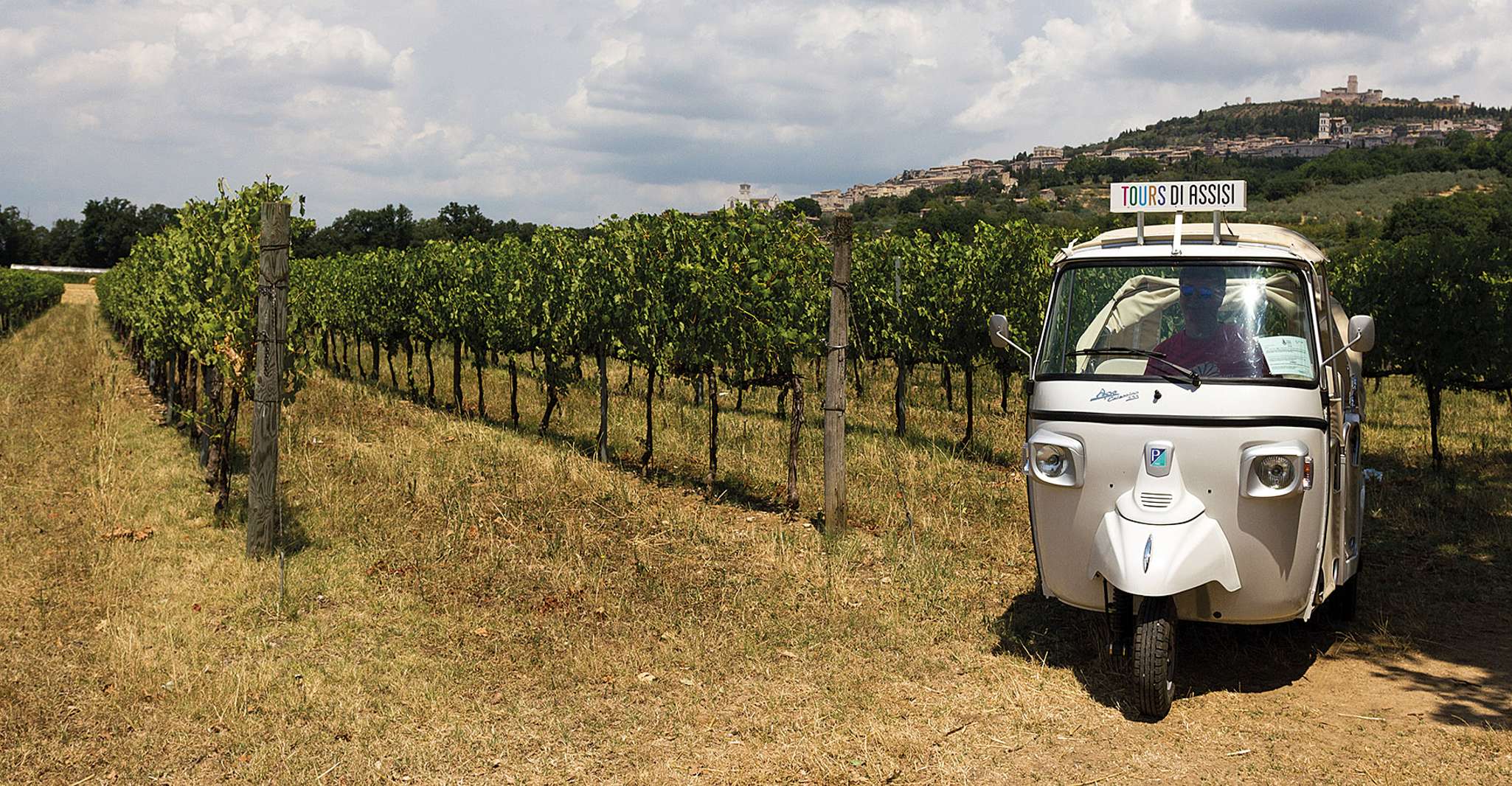 Wine Tour Spello in Tuk Tuk - Housity