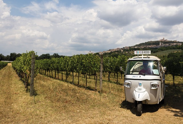 Visit Wine Tour Spello in Tuk Tuk in Spello, Umbria