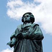 Bonn : Private Walking Tour With A Guide ( Private Tour )