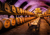 Würzburg Scavenger Hunt and Sights Self-Guided Tour - Housity