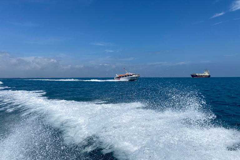 Da Nang/Hoi An: Tour giornaliero di gruppo per lo snorkeling dell&#039;isola di ChamSnorkeling dell&#039;isola di Cham da Da Nang e tour di gruppo di Hoi An