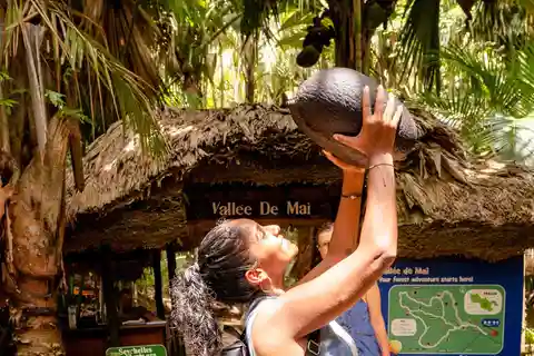 Praslin : Randonnée guidée de la Vallée de Mai avec transfert