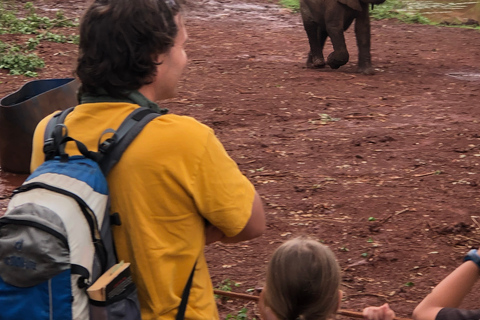 Visite à Nairobi du sanctuaire des éléphants et du centre des girafes.