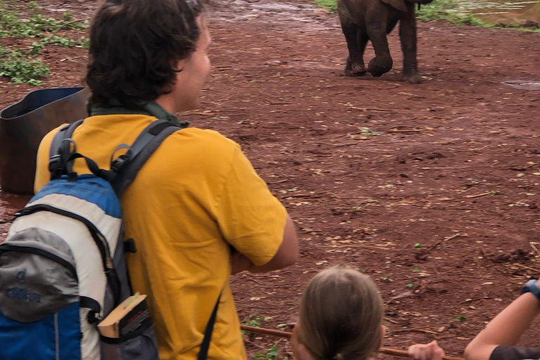 Visite à Nairobi du sanctuaire des éléphants et du centre des girafes.