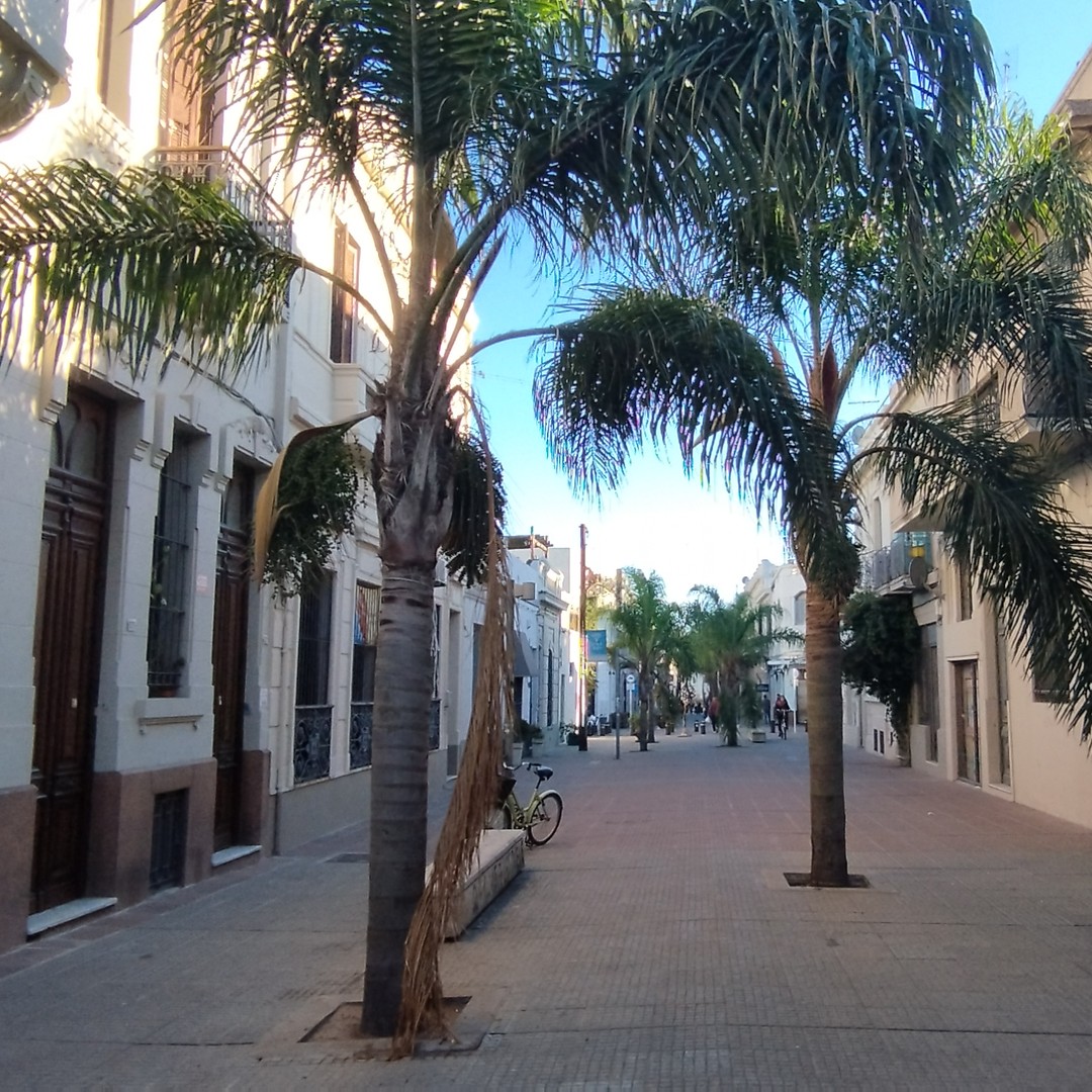 Colagem de mídia