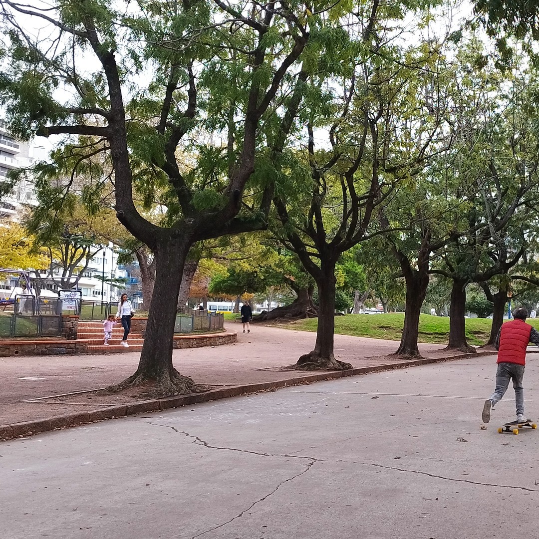 Colagem de mídia
