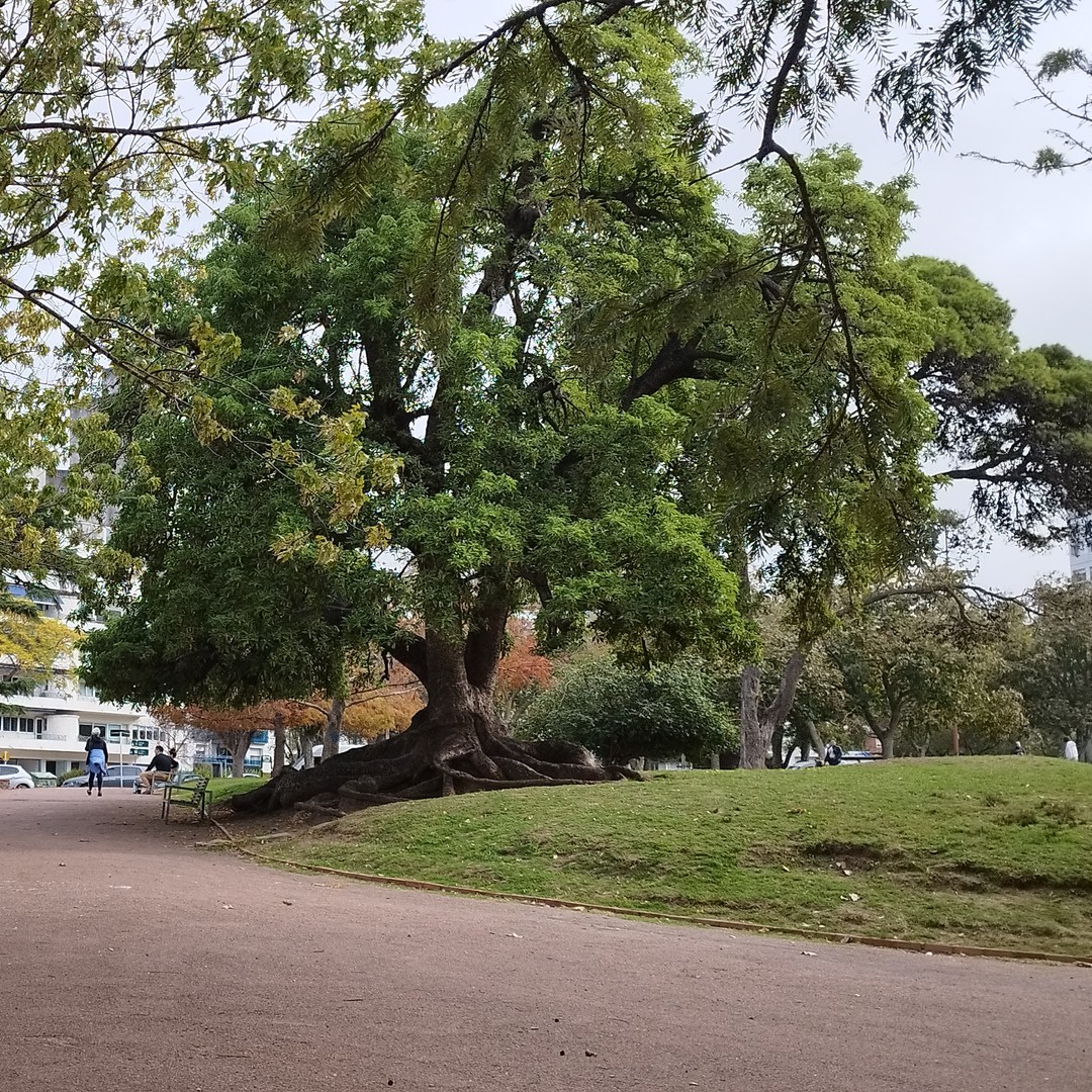 Colagem de mídia