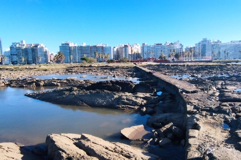 Montevideo - Visite privée d'une journée