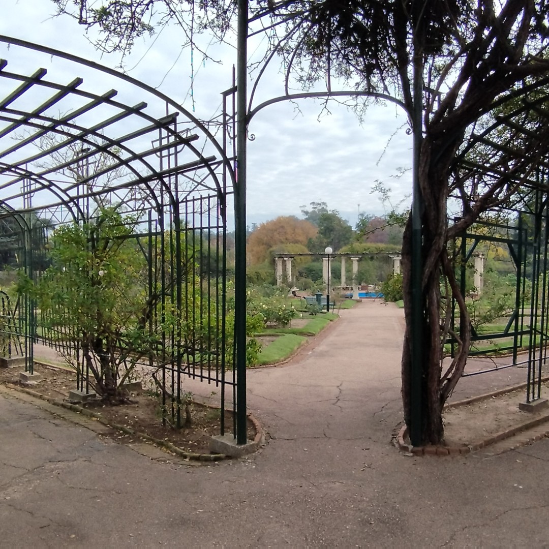 Colagem de mídia