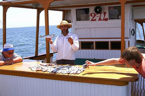 De Agadir ou Taghazout: passeio de barco costeiro de meio dia e almoçoSaída de Agadir