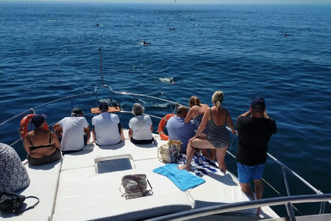 De Agadir ou Taghazout: passeio de barco costeiro de meio dia e almoçoSaída de Agadir