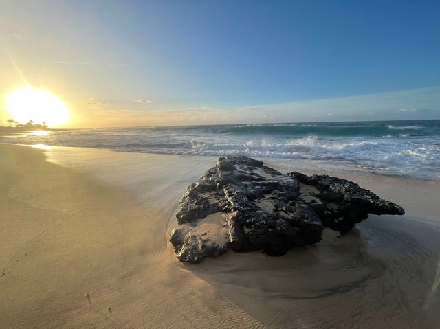 Enjoy Private Professional Photo Tour in Honolulu Island