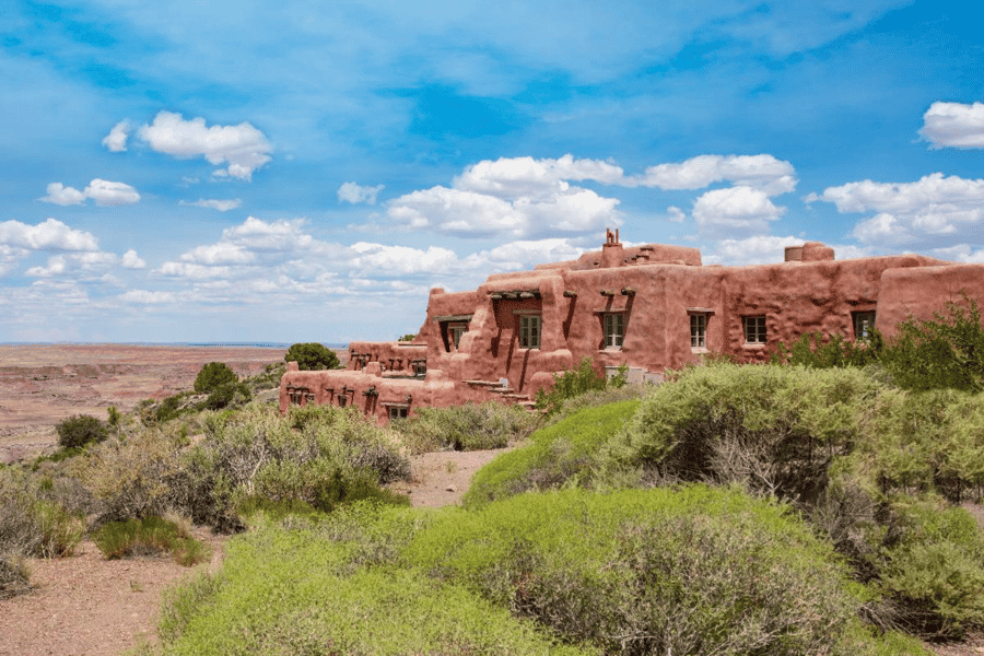 Petrified National Park: Selbstgeführte Entdeckungstour mit dem Auto. Foto: GetYourGuide