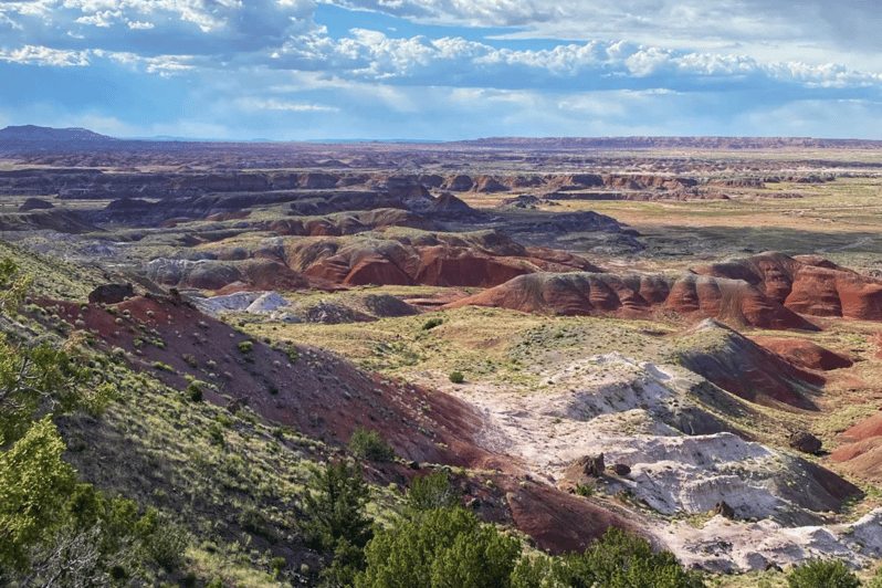 Petrified Forest National Park Self-Guided Audio Tour | GetYourGuide