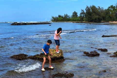 Profitez d'une visite photographique professionnelle privée sur l'île d'HonoluluExcursion photographique professionnelle privée d'une journée sur l'île d'Honolulu