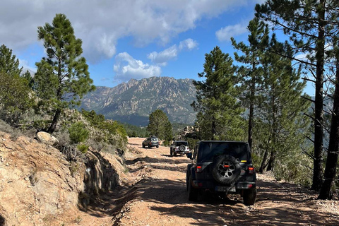 Porto Vecchio: 4x4-tur till Cuscionu-platån och Alta RoccaPorto Vecchio: Cuscionu-platån och Alta Rocca 4x4 guidad tur