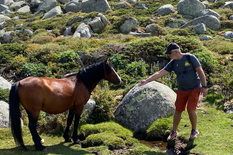 Porto Vecchio: 4x4-tur till Cuscionu-platån och Alta RoccaPorto Vecchio: Cuscionu-platån och Alta Rocca 4x4 guidad tur