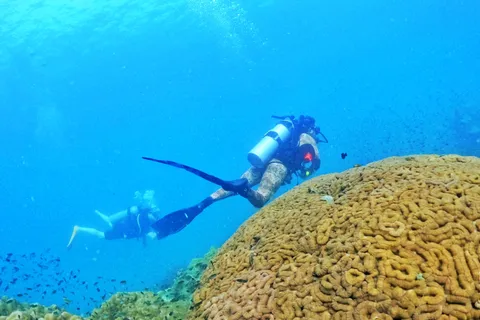Phu Quoc: duikervaring voor alle niveaus