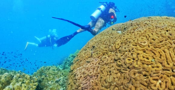 A diver in a black wetsuit kneeling on pale sand in shallow water, one hand on the regulator, an instructor's fins just above