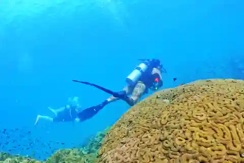 Phu Quoc: Scuba Diving Experience for All Levels