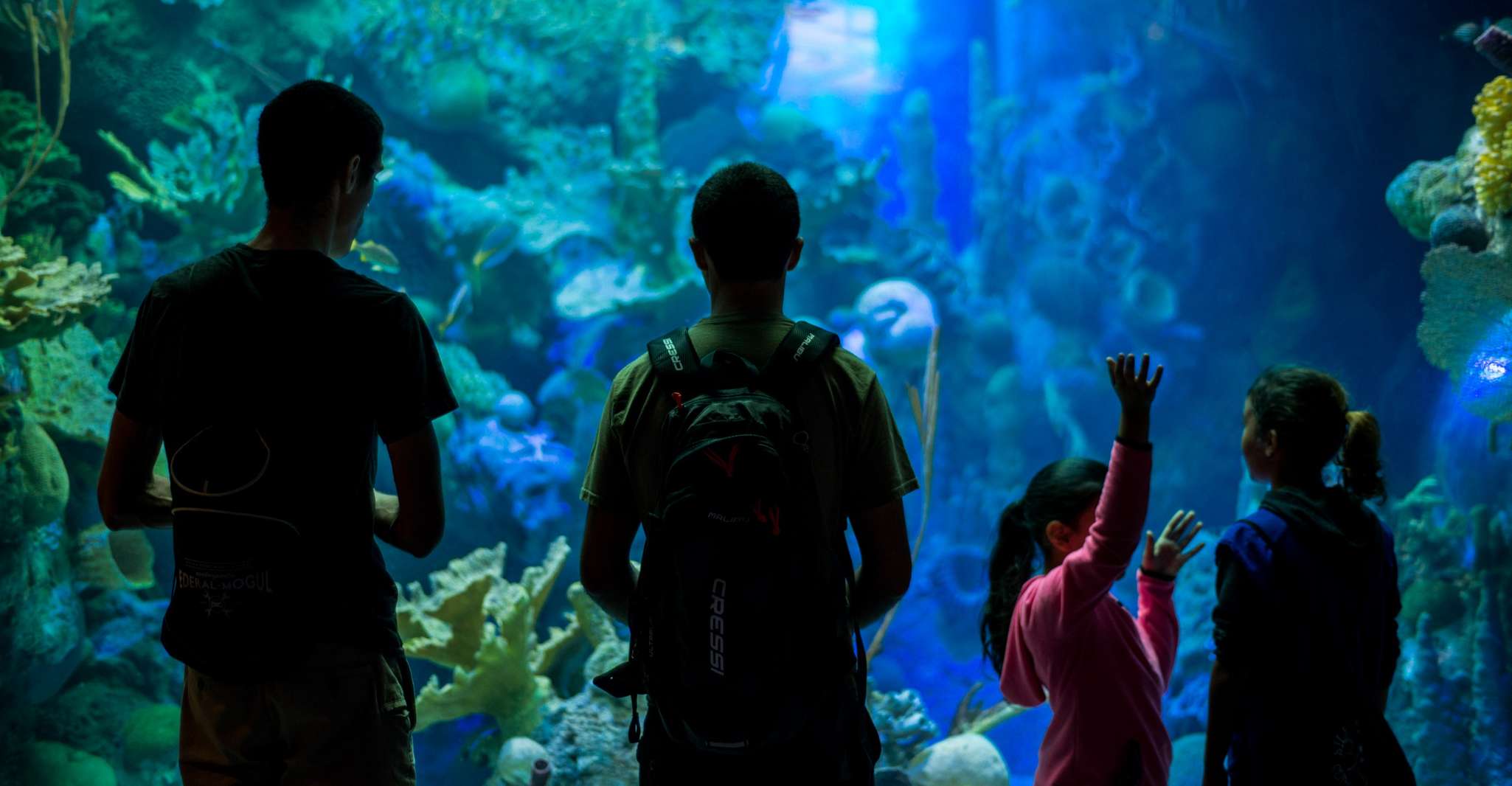 Miami: Frost Museum of Science and Planetarium Entry Ticket photo 5