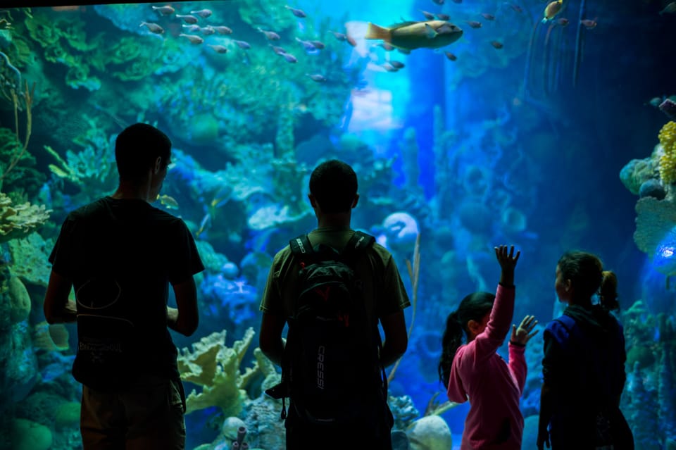 Miami, Frost Museum of Science and Planetarium Entry Ticket - Housity