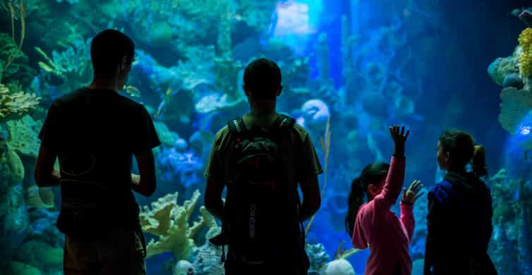 Miami: Frost Museum of Science and Planetarium Entry Ticket photo 5