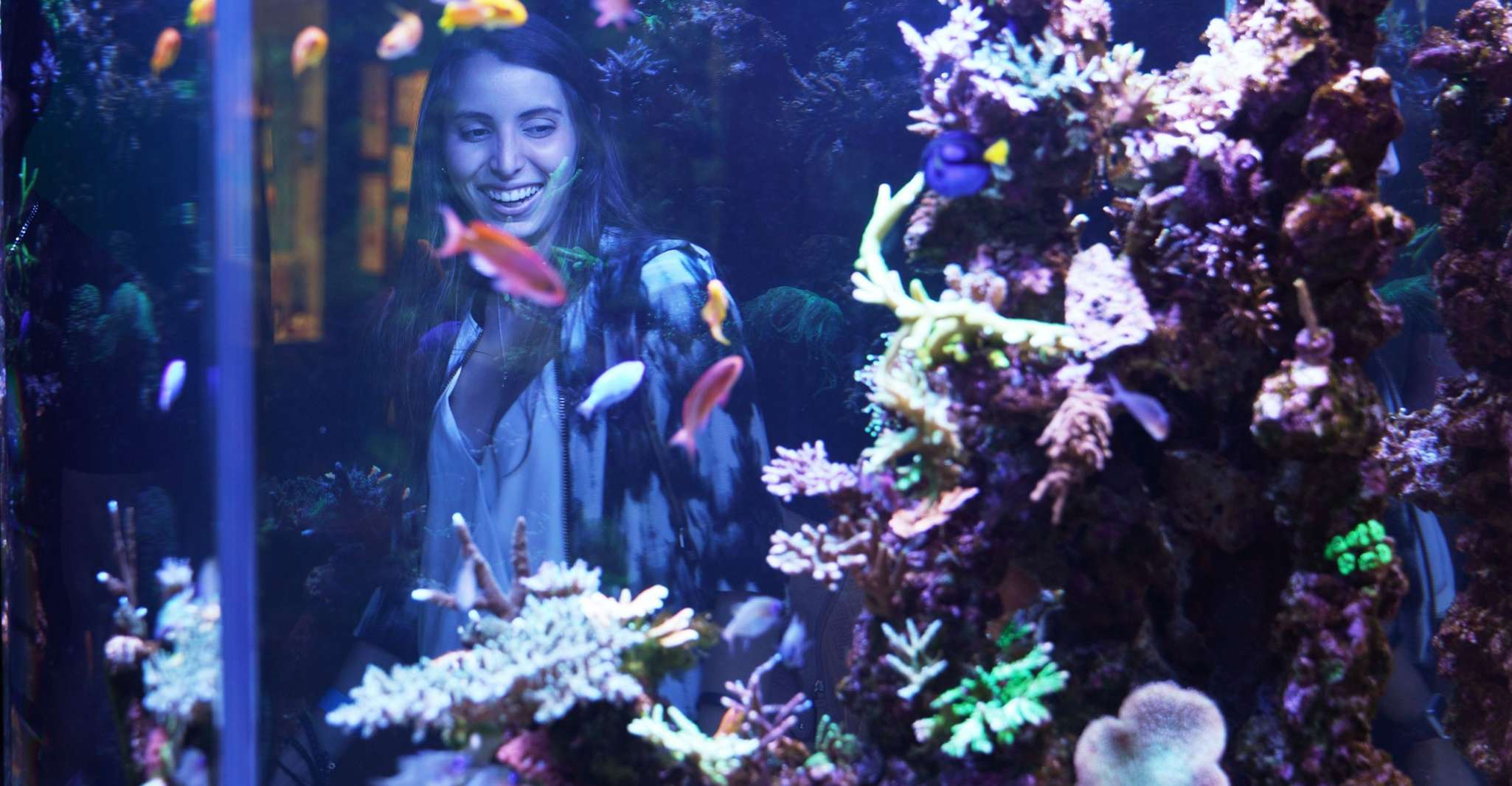 Miami: Frost Museum of Science and Planetarium Entry Ticket photo 15