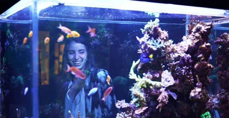 Miami: Frost Museum of Science and Planetarium Entry Ticket photo 15