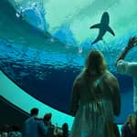 Miami: biglietto d'ingresso al Frost Museum of Science and Planetarium