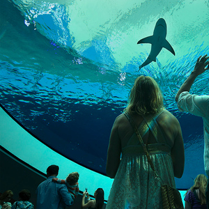 Miami: Frost Museum of Science and Planetarium Entry Ticket