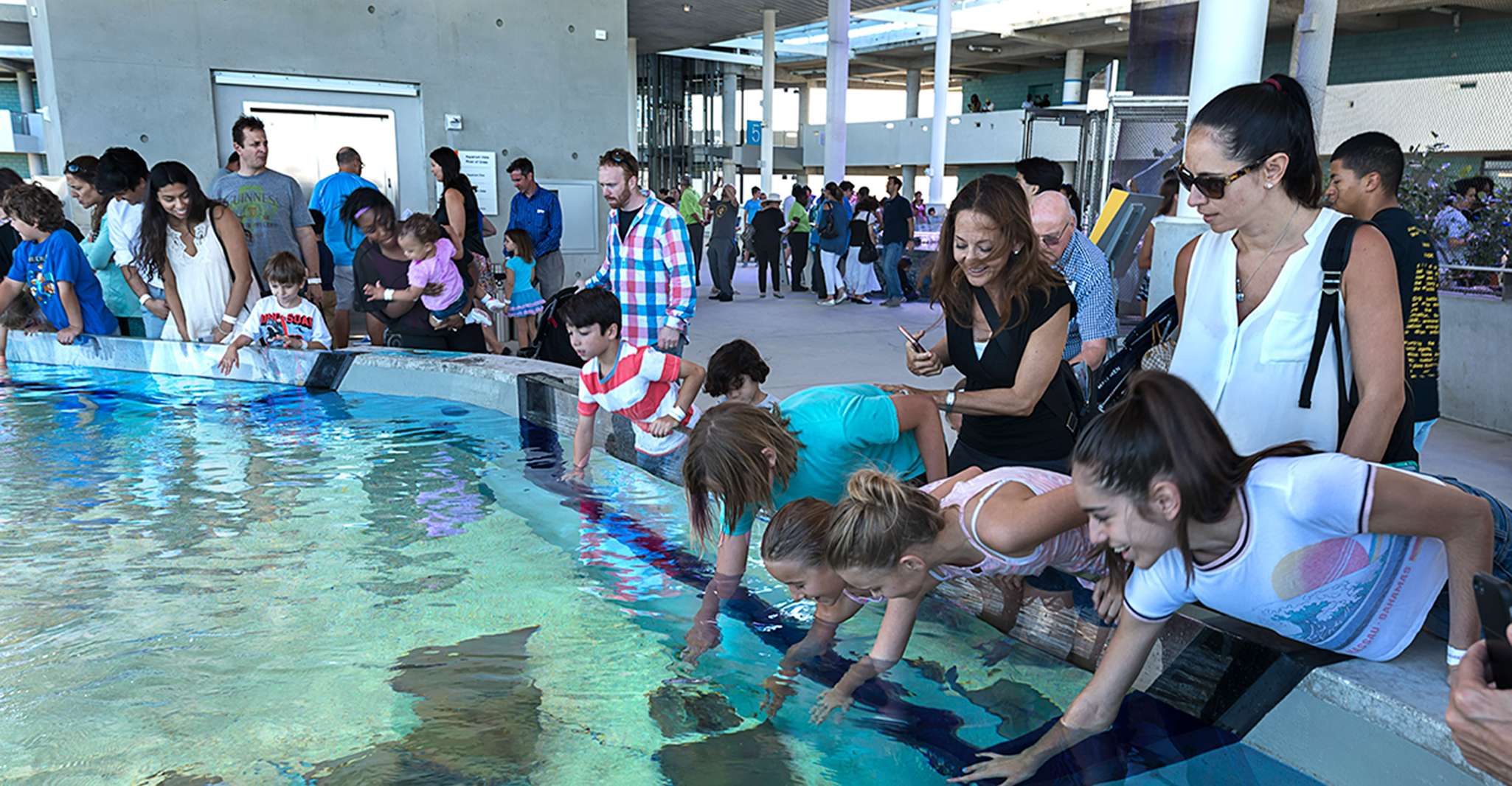 Miami: Frost Museum of Science and Planetarium Entry Ticket photo 9