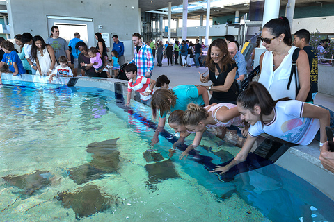 Miami: Frost Museum of Science and Planetarium Toegangsbewijs