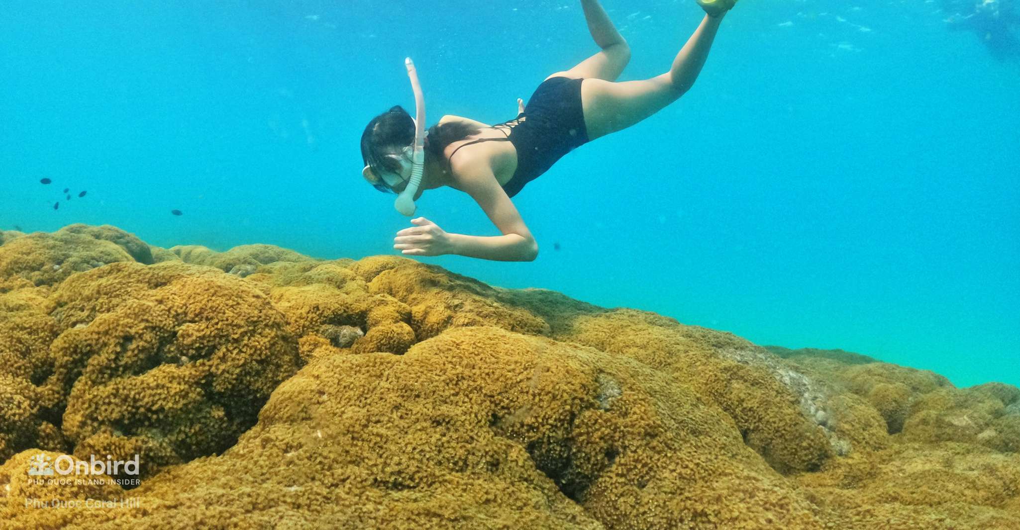 Phu Quoc, excursión de snorkeling de grupos pequeños en lancha rápida - Hizvo