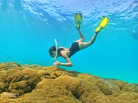 Phu Quoc, Snorkeling Tour di piccoli gruppi di Speedboat - Hizvo