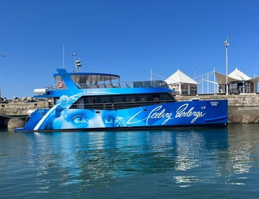 From Peniche, Round-Trip Boat Tour of Berlengas Archipelago - Housity