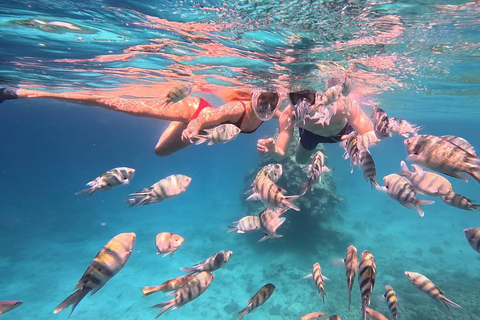 Hurghada : Excursion en bateau rapide 7 en 1 avec plongée en apnée et déjeunerVisite de groupe