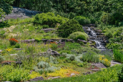 Jardin botanique de New York : billet pour le jardinJardin botanique de New York : billet Garden Pass
