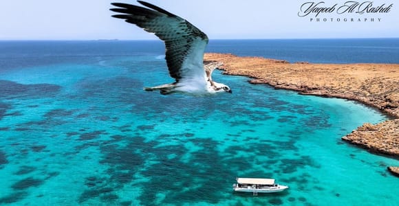From Al-Seeb: Dimaniyat Islands Boat Trip with Snorkeling