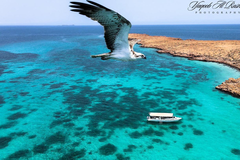 From Al-Seeb: Dimaniyat Islands Boat Trip with Snorkeling4-Hour Shared Boat Trip