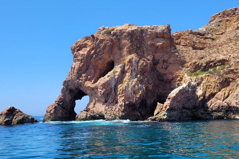 Peniche: Tour to Berlengas Island with Island Stop Morning Ferry