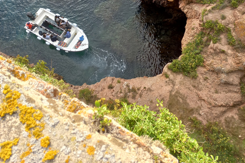 Peniche: Berlengas Roundtrip and Glass-Bottom Boat Cave Tour Glass-Bottom Boat Tour with Afternoon Ferry