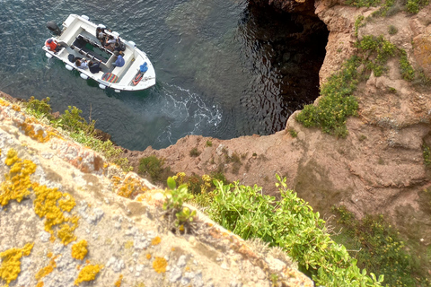 Peniche: Tour to Berlengas Island with Island Stop Morning Ferry