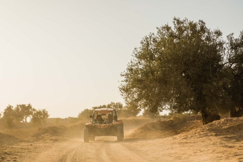 Djerba 1H30 Buggy Abenteuer: Entfessle den Spaß