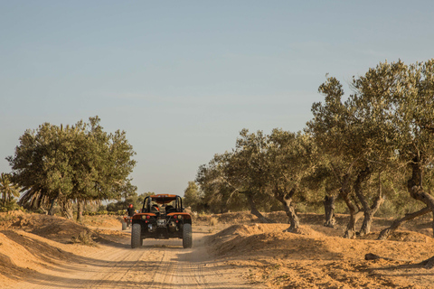 Yerba 1H30 Aventura en Buggy: Desata la diversión