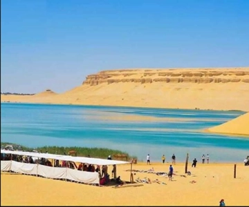From Cairo: Whale Valley and Wadi El Rayan Waterfalls Tour