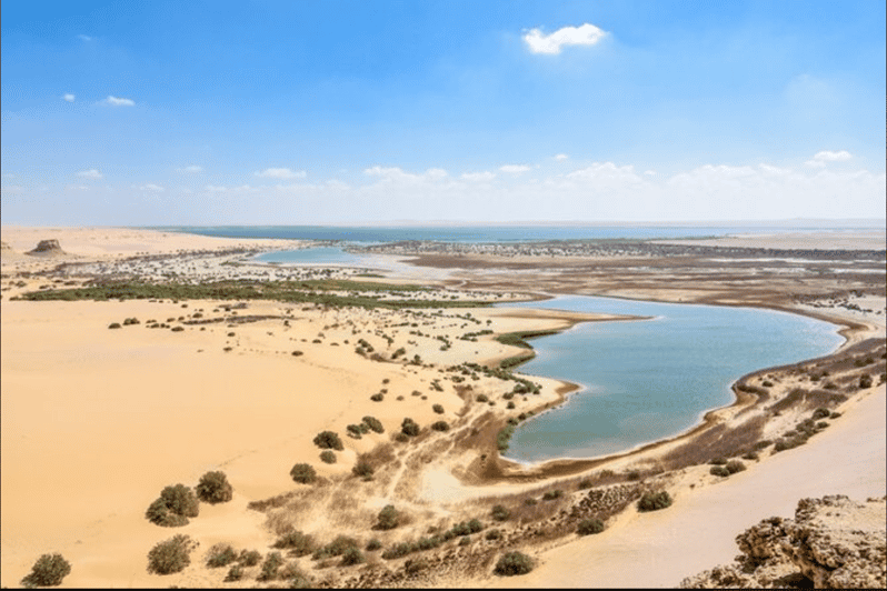 From Cairo To Whales Valley And Wadi El Rayan Waterfalls Getyourguide