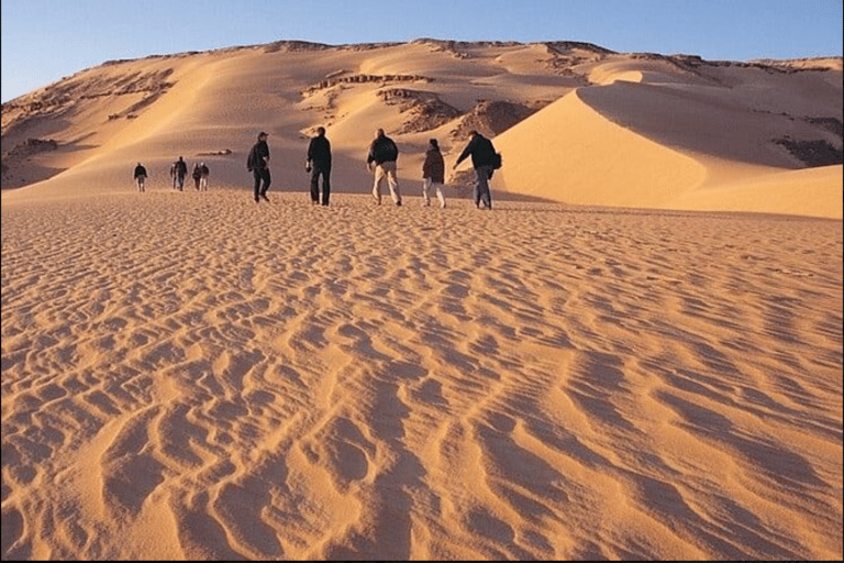 From Cairo to Whales Valley and Wadi El Rayan Waterfalls