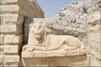 Dal Cairo, Whale Valley e Wadi El Rayan Waterfalls Tour - Housity